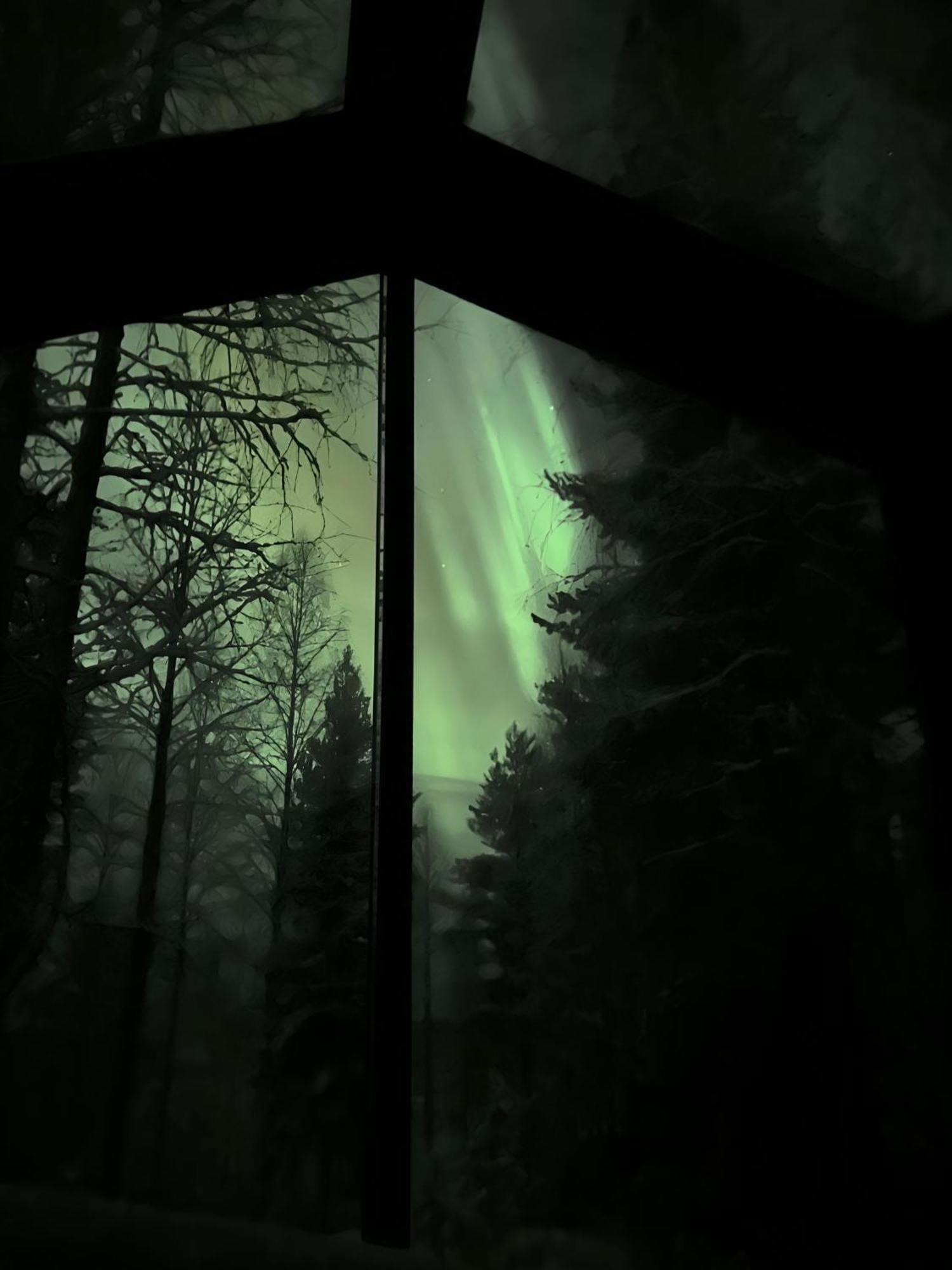 Sky ~ Sleeping Under The Stars Chalet Rovaniemi